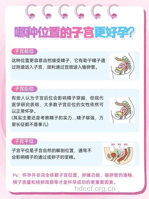 女性阴道活力恢复术的两大方式