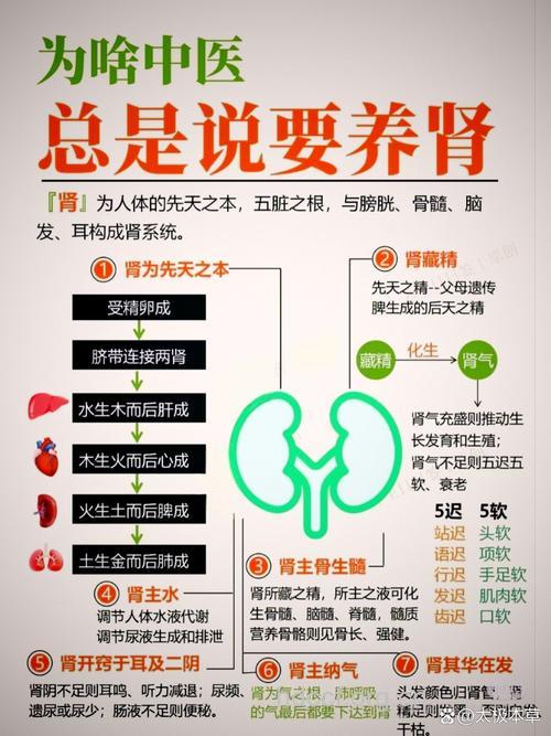中医养肾藏精方法