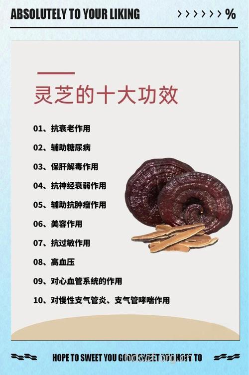 紫灵芝的功效与作用