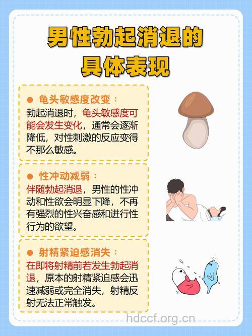 男性的“绝雄期”是怎么回事?