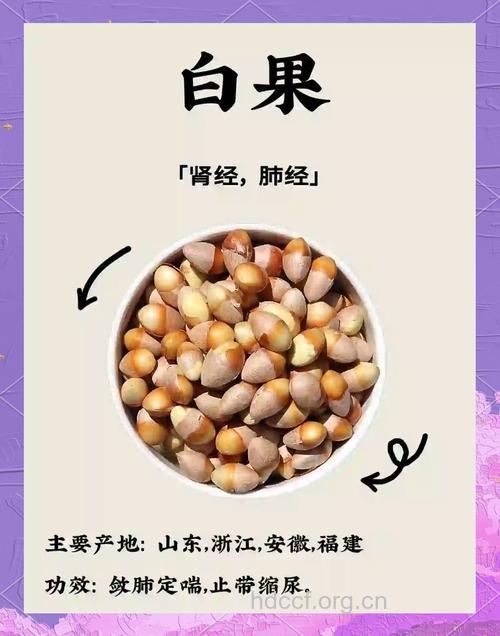 白果有什么营养价值