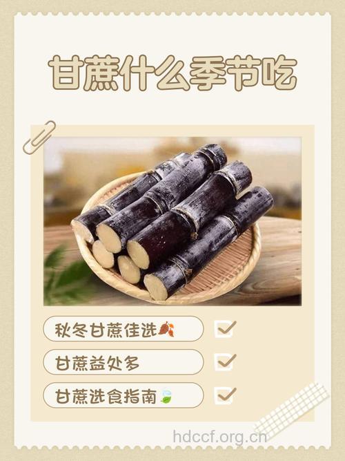 甘蔗是饮食补血良品