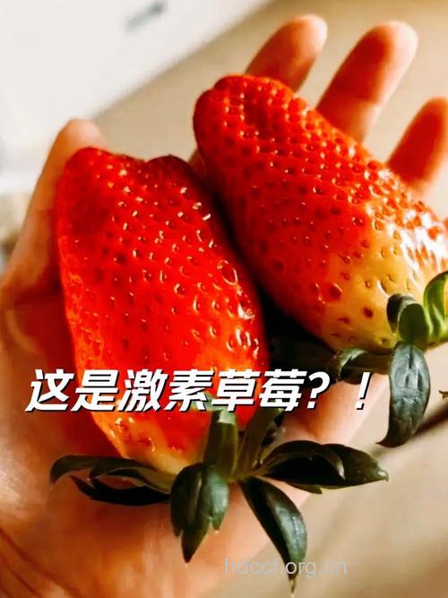 怎么避免买到激素草莓