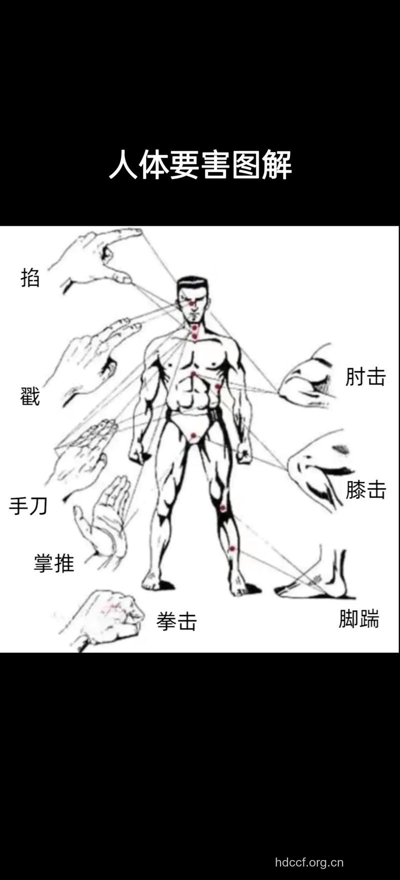 解析男人的身体弱点