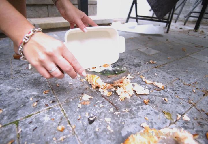 食物掉到地上是否一定要扔掉