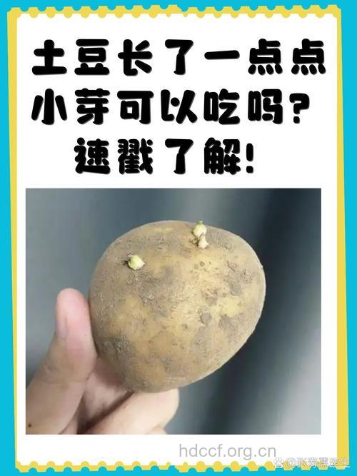 土豆长芽了能吃吗?