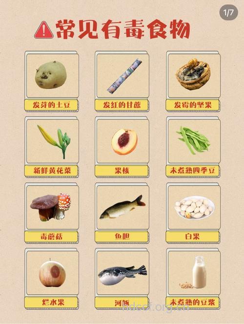 有毒食物有哪些？