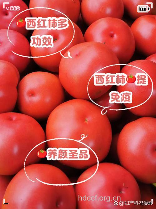 西红柿能抗乙肝吗？
