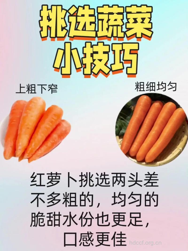 如何挑出最有营养的胡萝卜