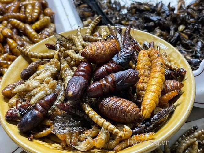 这7种最容易藏寄生虫的食物