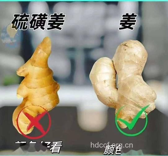 生姜原来还有这些误区 真是白活了