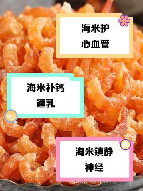 海米的功效与作用