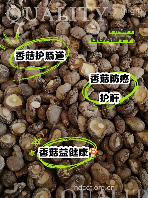 冬菇的功效与作用