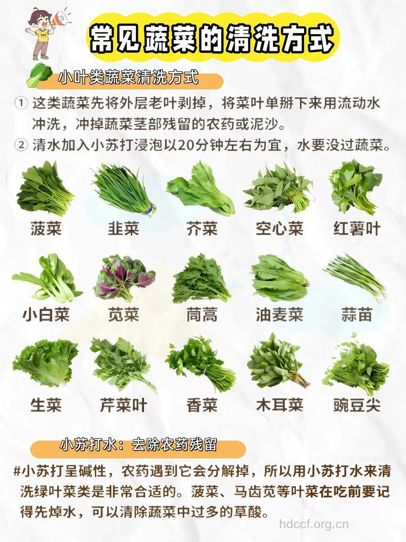 怎么选择不受污染蔬菜