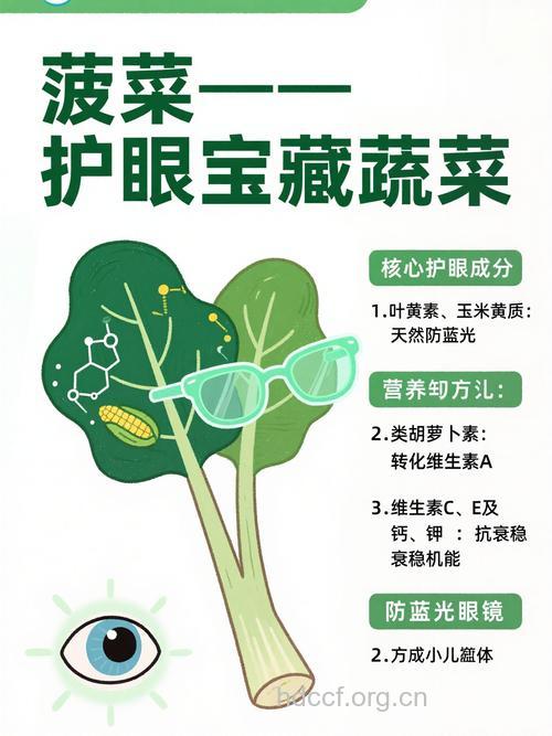 多吃菠菜护眼