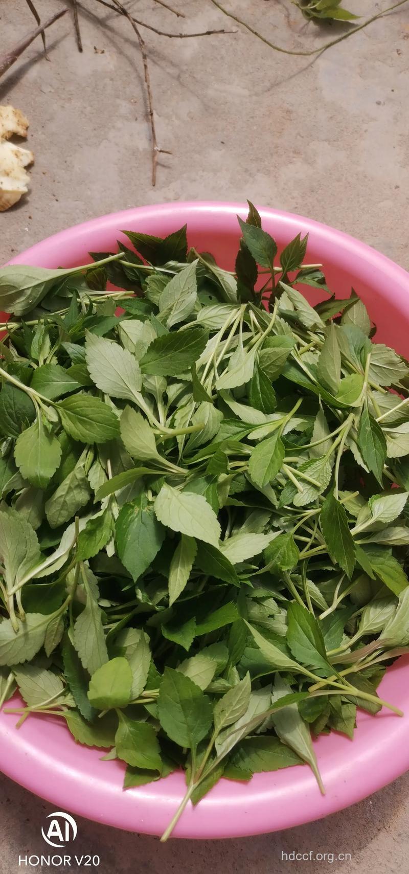 野菜都是绿色食品吗?