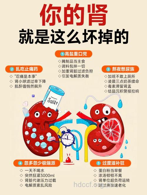 有些行为最伤肾