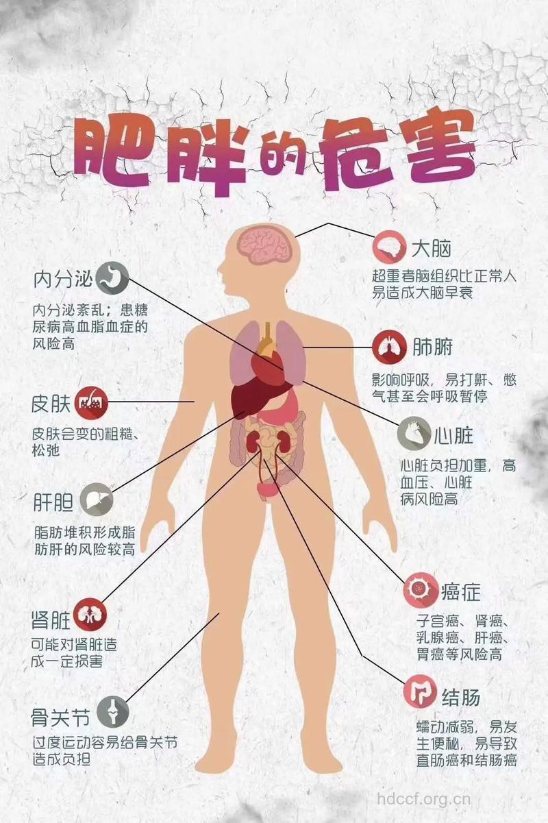 男性肥胖的七大危害