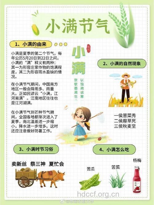 揭示：为什么小满节气不能吃这些