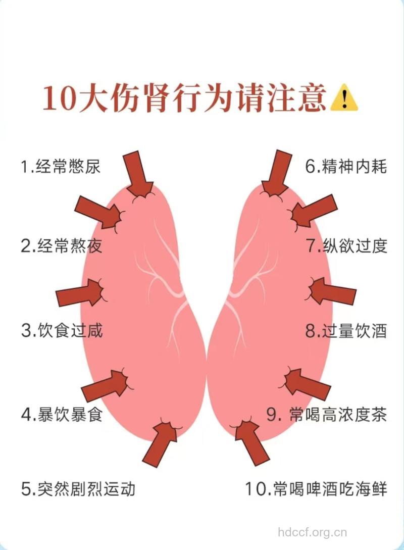 男性应远离这8大伤肾行为