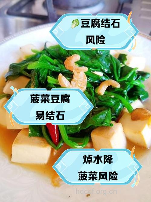 菠菜烧豆腐有什么作用?