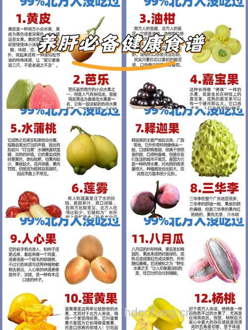 蔬菜水果的营养冠军
