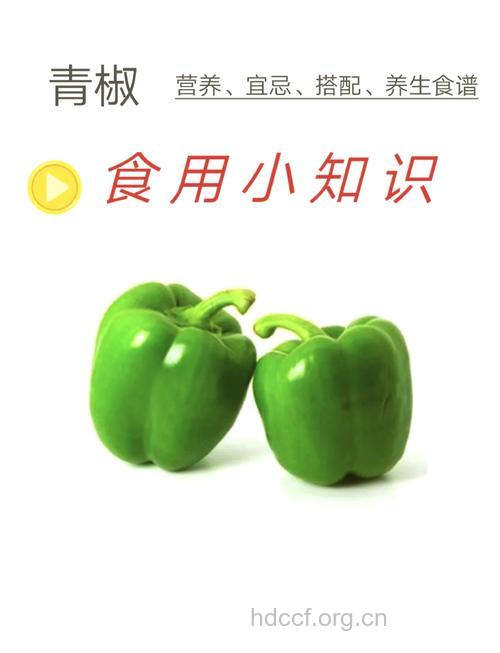 如何选青圆椒
