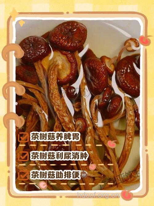 茶树菇营养价值高吗?