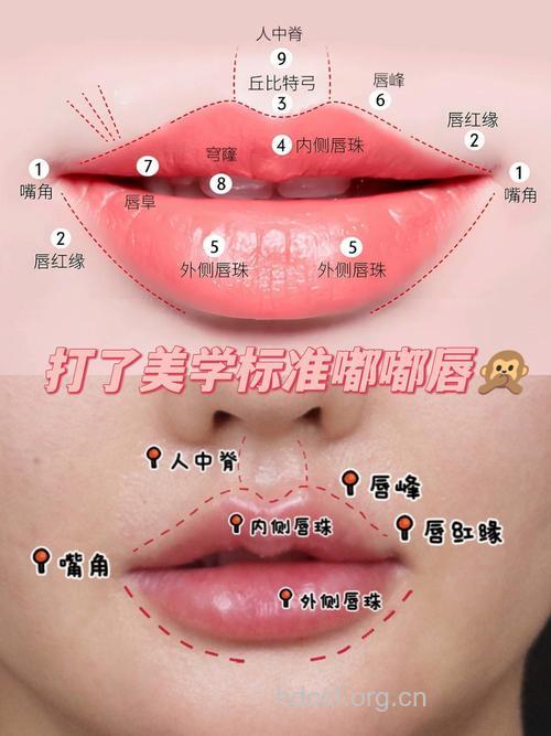 唇部整形有什么样的标准?