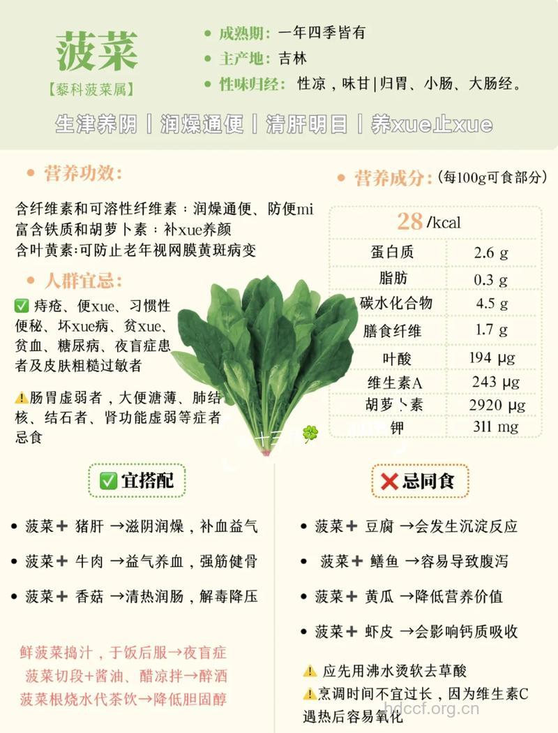 菠菜怎么吃更多营养