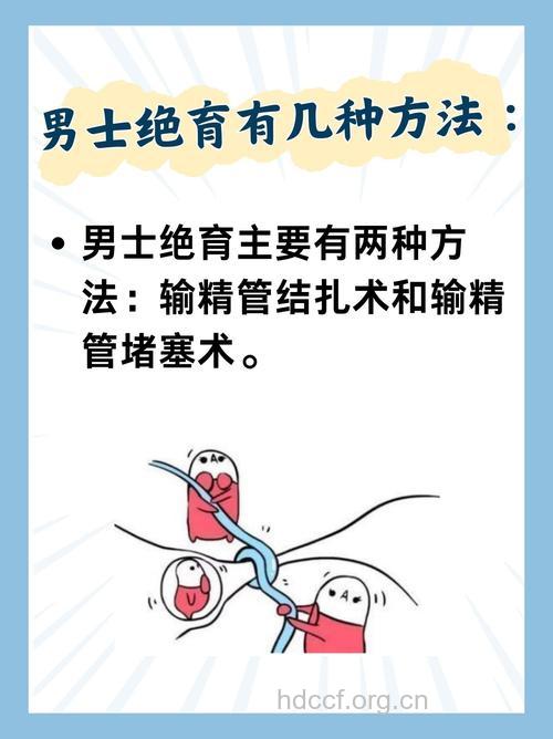 关于生育男人要做的有哪些