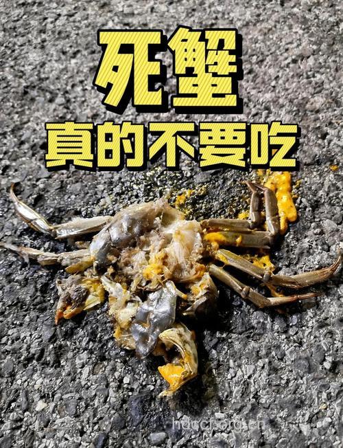 吃死螃蟹会中毒 甚至死亡
