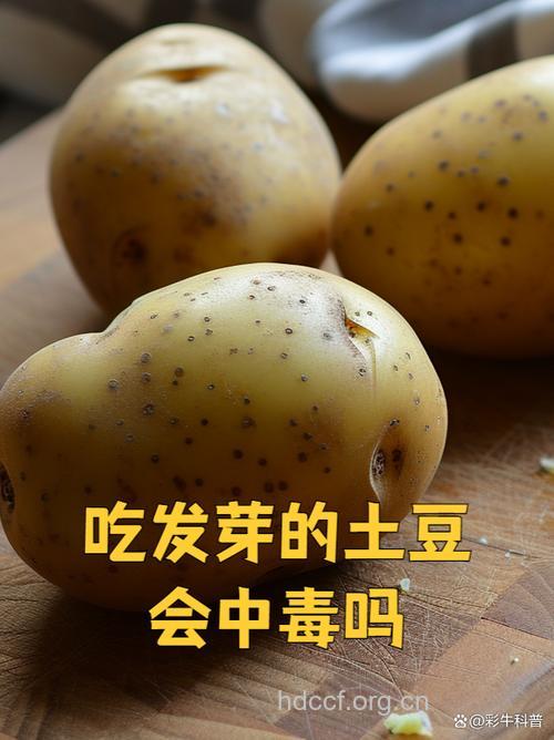 3种土豆吃了会中毒 千万不要吃