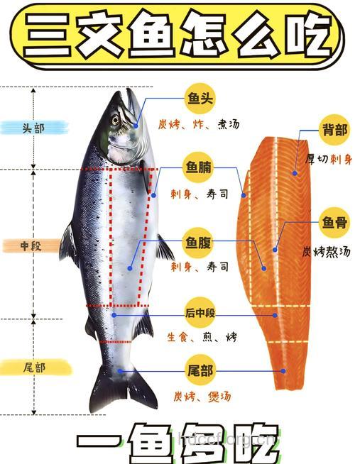 吃鱼有讲究 吃哪个部位最好