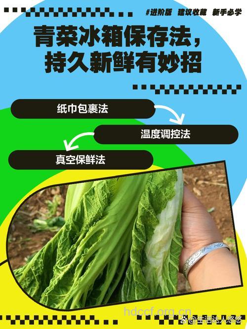 青菜怎么保存更久呢?