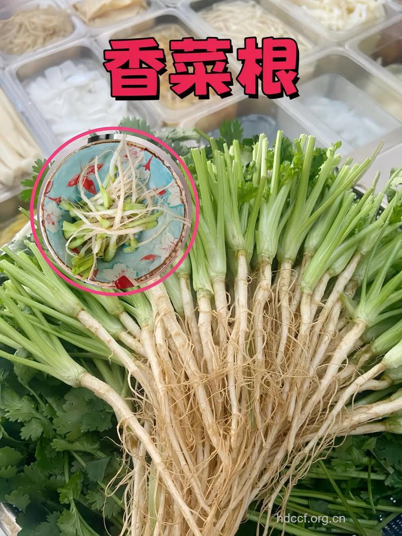 香菜根是宝 别再丢掉它了