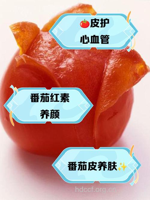 西红柿皮的营养价值高