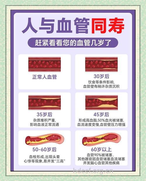 11种血管清道夫帮助清理软化血管