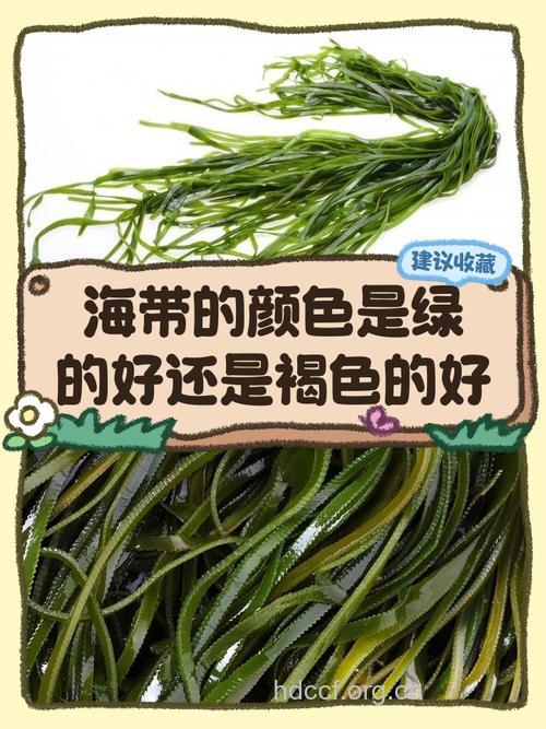 海带颜色越“绿”越好吗?