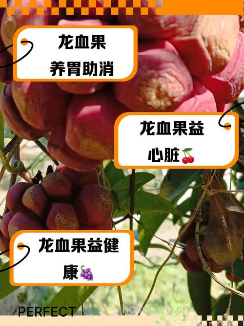 7种水果好神奇 竟可以软化血管