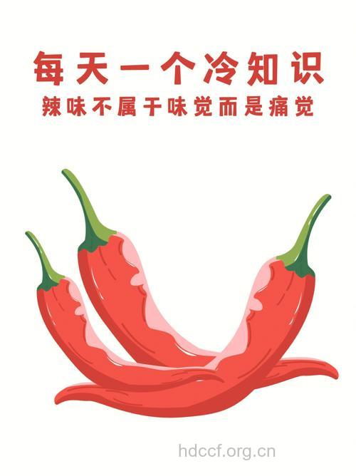 辣不是味道是痛觉 关于食物的10个冷知识