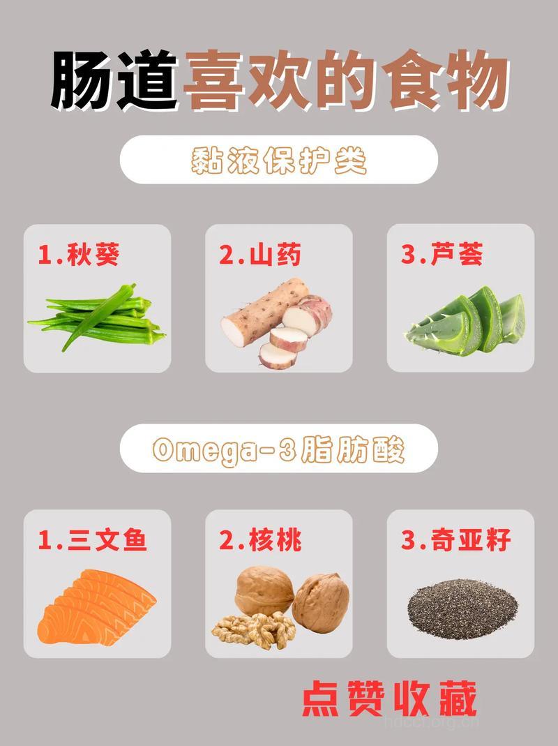 肠道也有喜好?肠道最喜欢4种食物