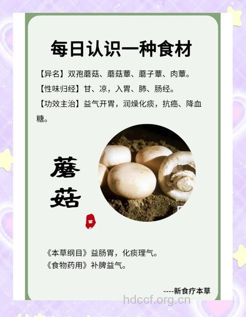 蘑菇可以驻颜养生