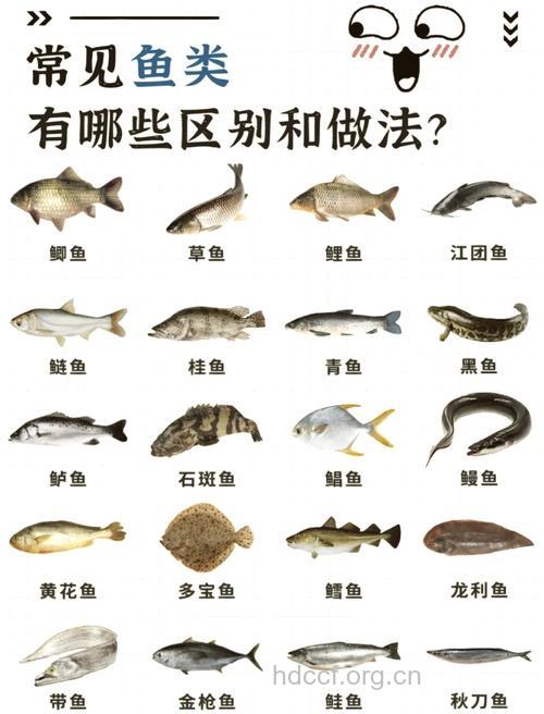 水产专家从来不会买这7种鱼