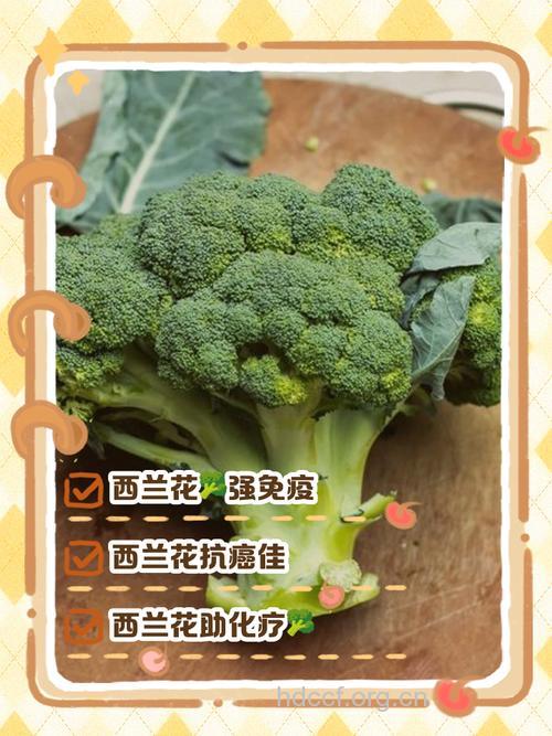 西兰花的抗癌效果好吗?