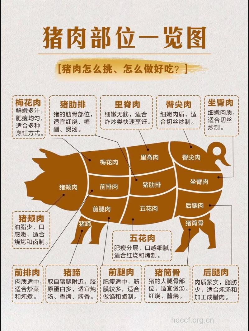 猪肉的不同部位吃法各不相同