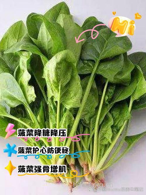 吃菠菜让你更年轻