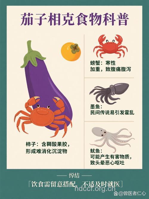 茄子不能与什么同吃?