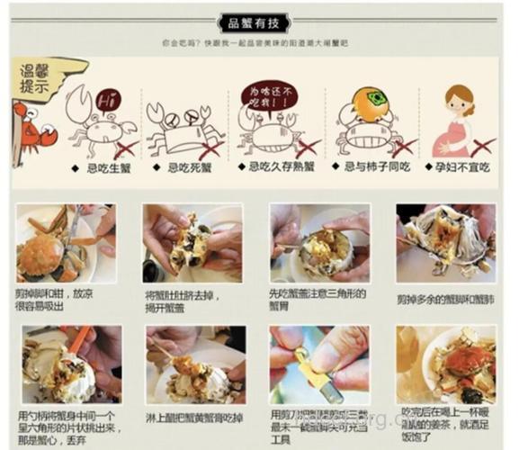 吃螃蟹的6个步骤 简直完美