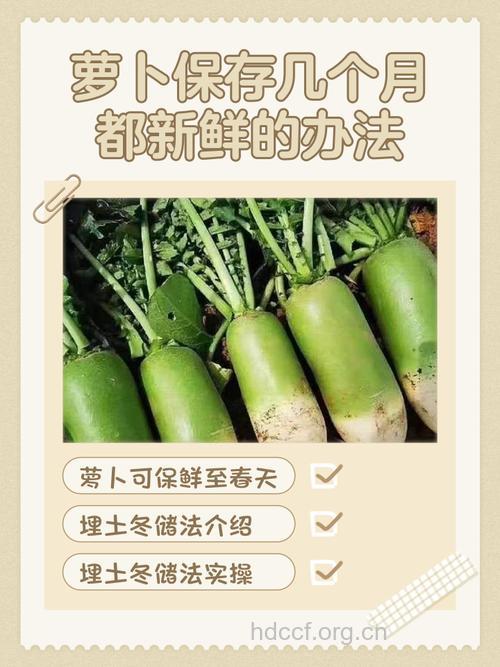 萝卜要怎么保存?